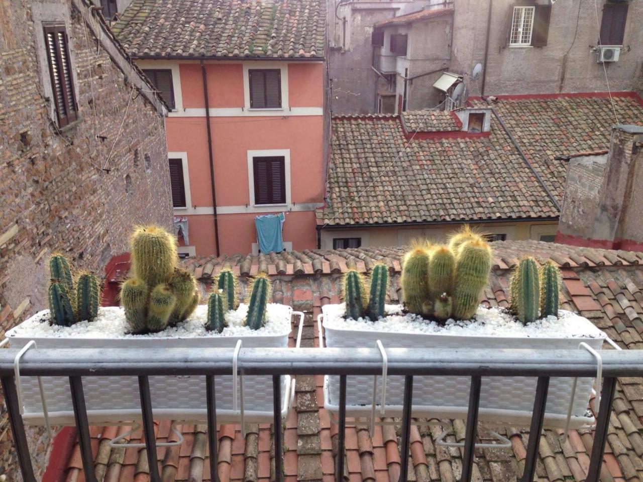 Bbhomerome - Campo Dei Fiori Balcony View Penthouse מראה חיצוני תמונה